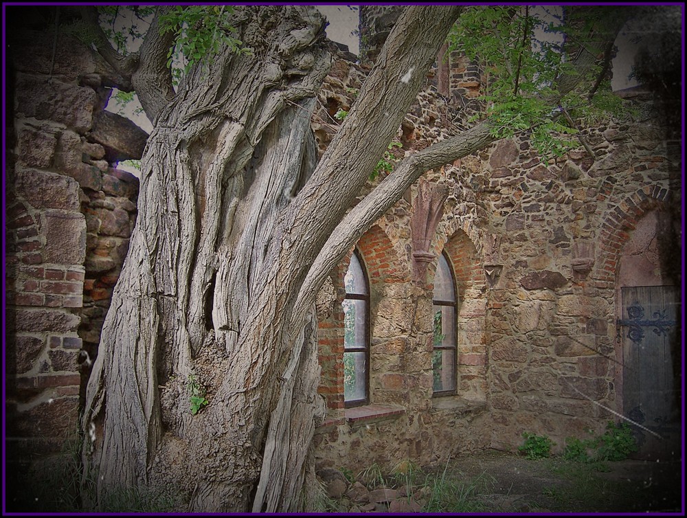 Burg Mildenstein