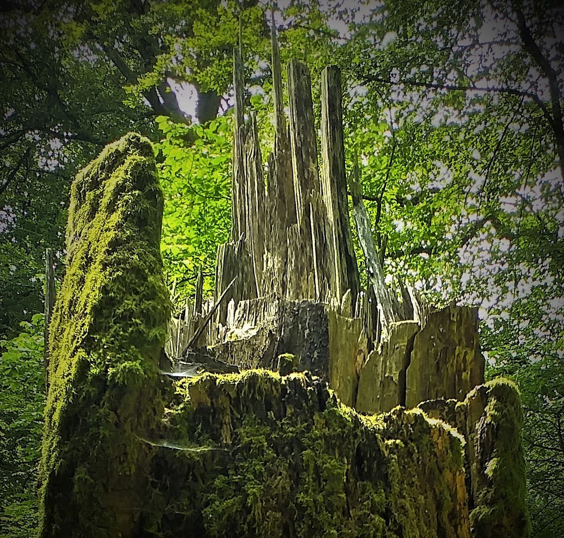 Burg Minas Tirith / Gondor, aus Herr der Ringe ? Foto & Bild wald, baum, burg Bilder auf