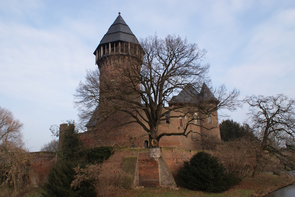 Burg mit Baum