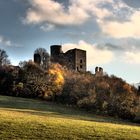 Burg mit Wald