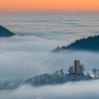 Burg Münz im Wolkenmeer bei Sonnenaufgang