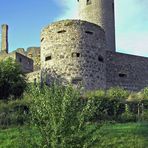 Burg Münzenberg 1 (Hessen)