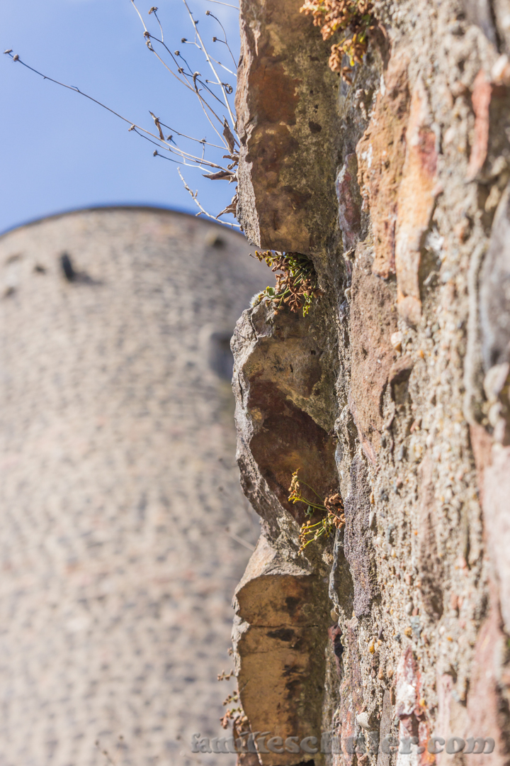 Burg Münzenberg 3