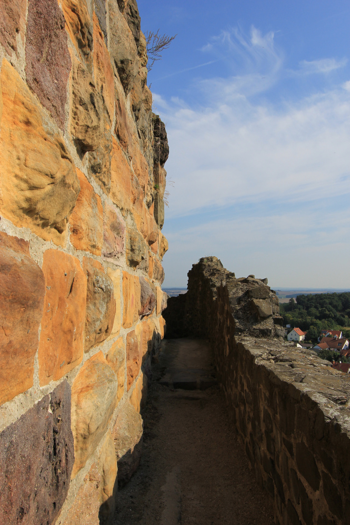 Burg Münzenberg