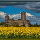 Burg Münzenberg