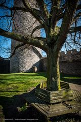 Burg Münzenberg im März 2014