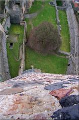 Burg Münzenberg von Östl Bergfried ||