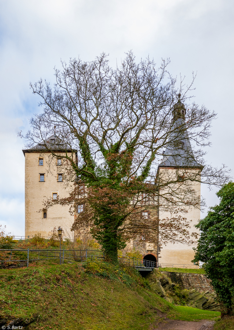 Burg Mylau (3)