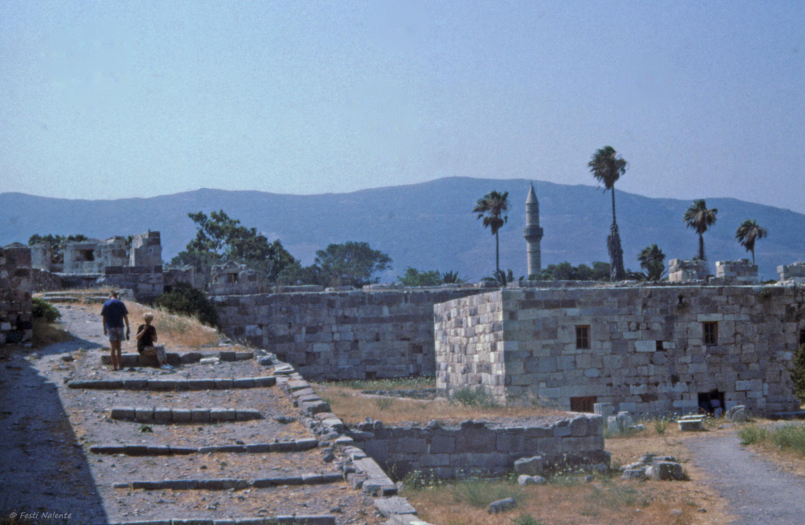 Burg Naratzia in Kos