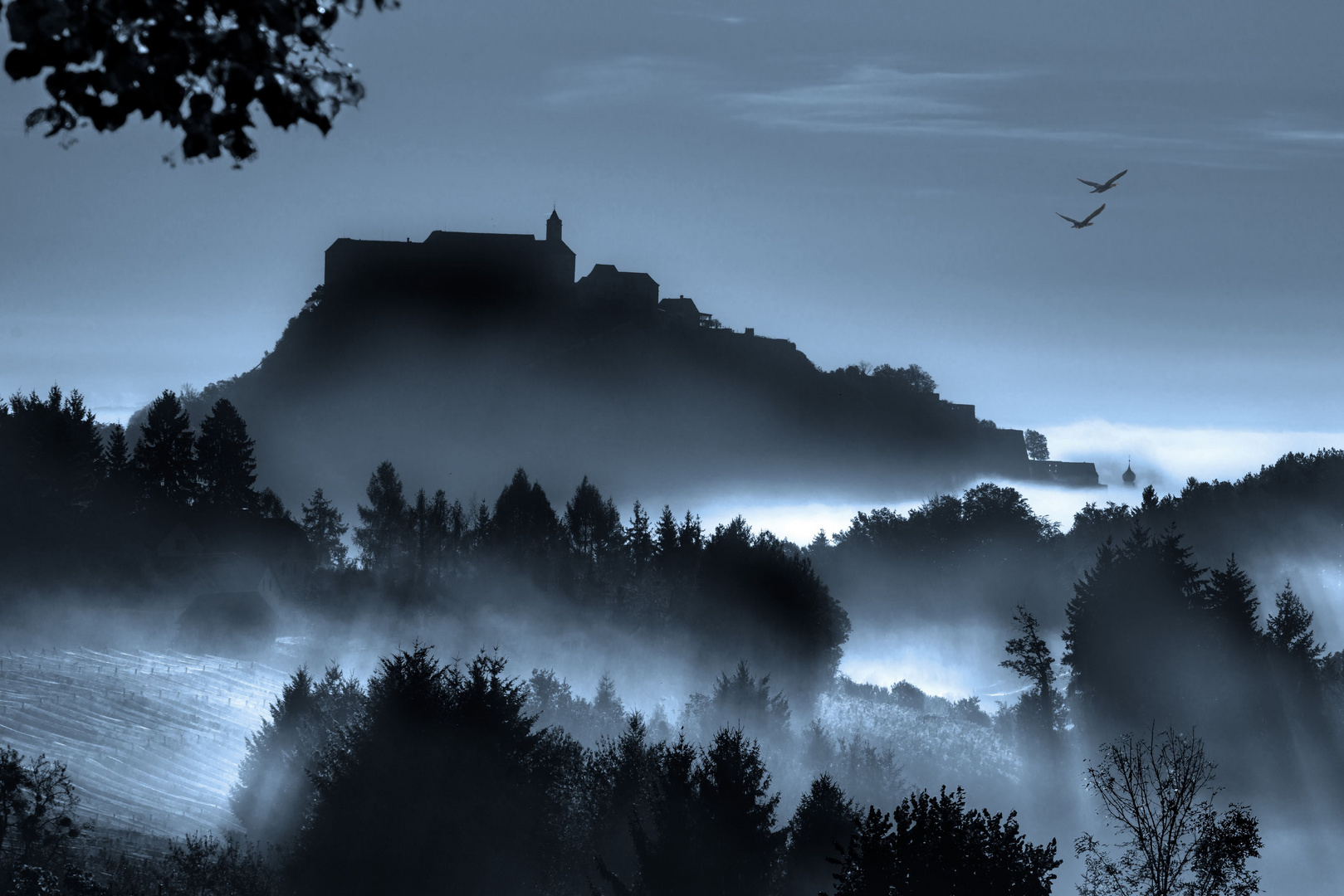 Burg-Nebel-SW