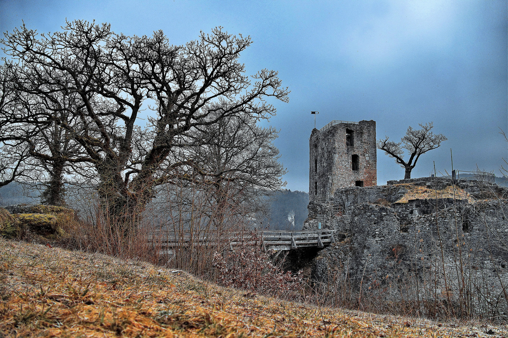 Burg Neideck /1