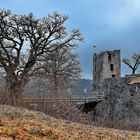 Burg Neideck /1