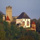 Burg Neidenstein im Morgenlicht.