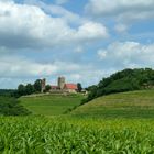 Burg Neipperg, 1