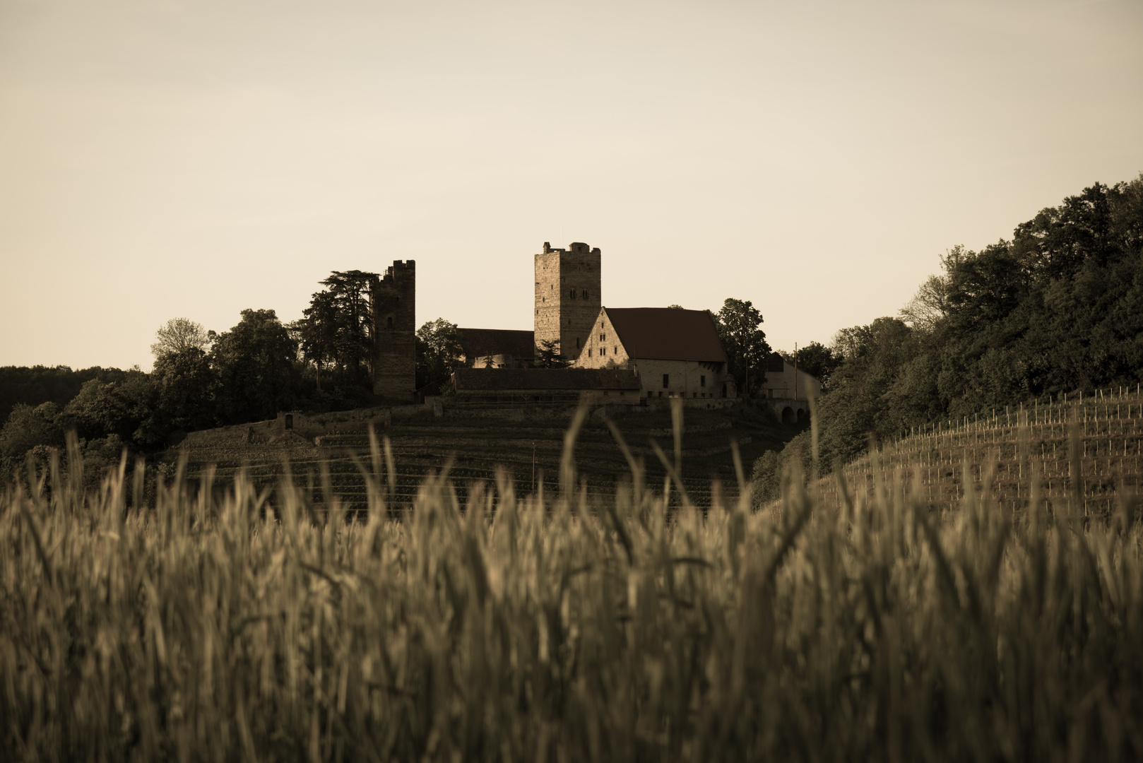 Burg Neipperg