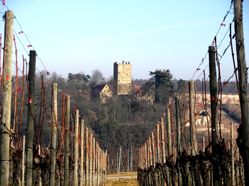 Burg Neipperg