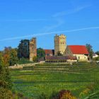 Burg Neipperg