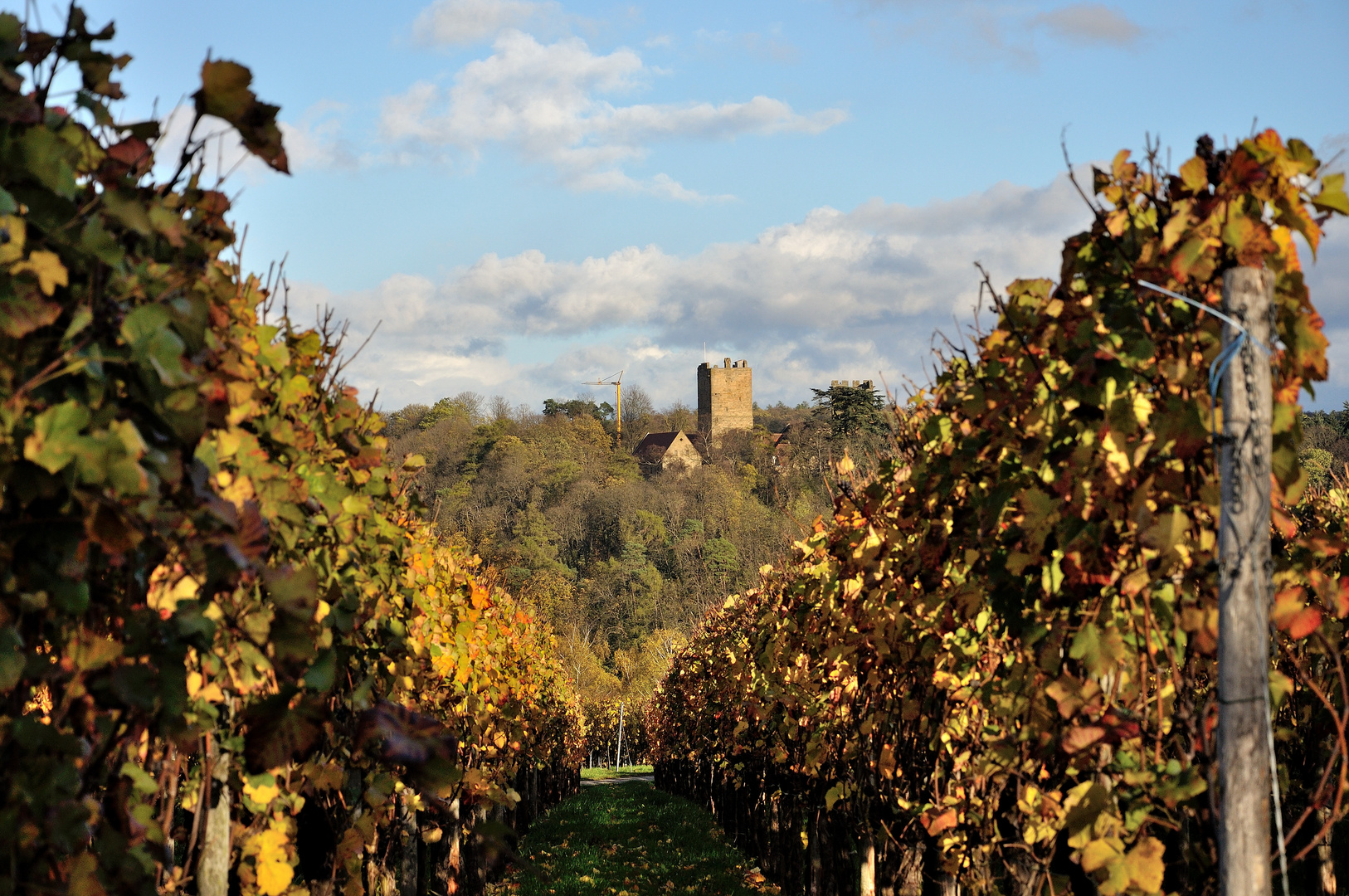 Burg Neipperg