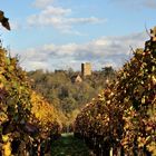 Burg Neipperg