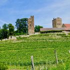 Burg Neipperg ,in Baden-Württemberg.