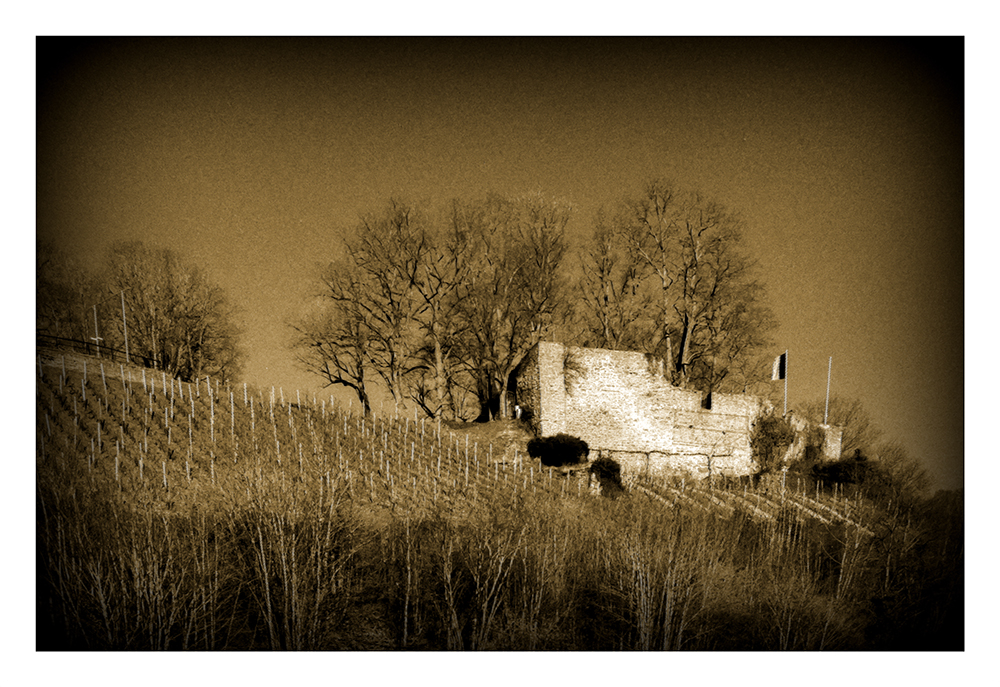 "Burg Neu-Wolfstein"