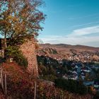 Burg Neu Wolfstein