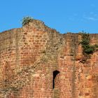 Burg Neuleinigen in der Pfalz (Detailansicht)