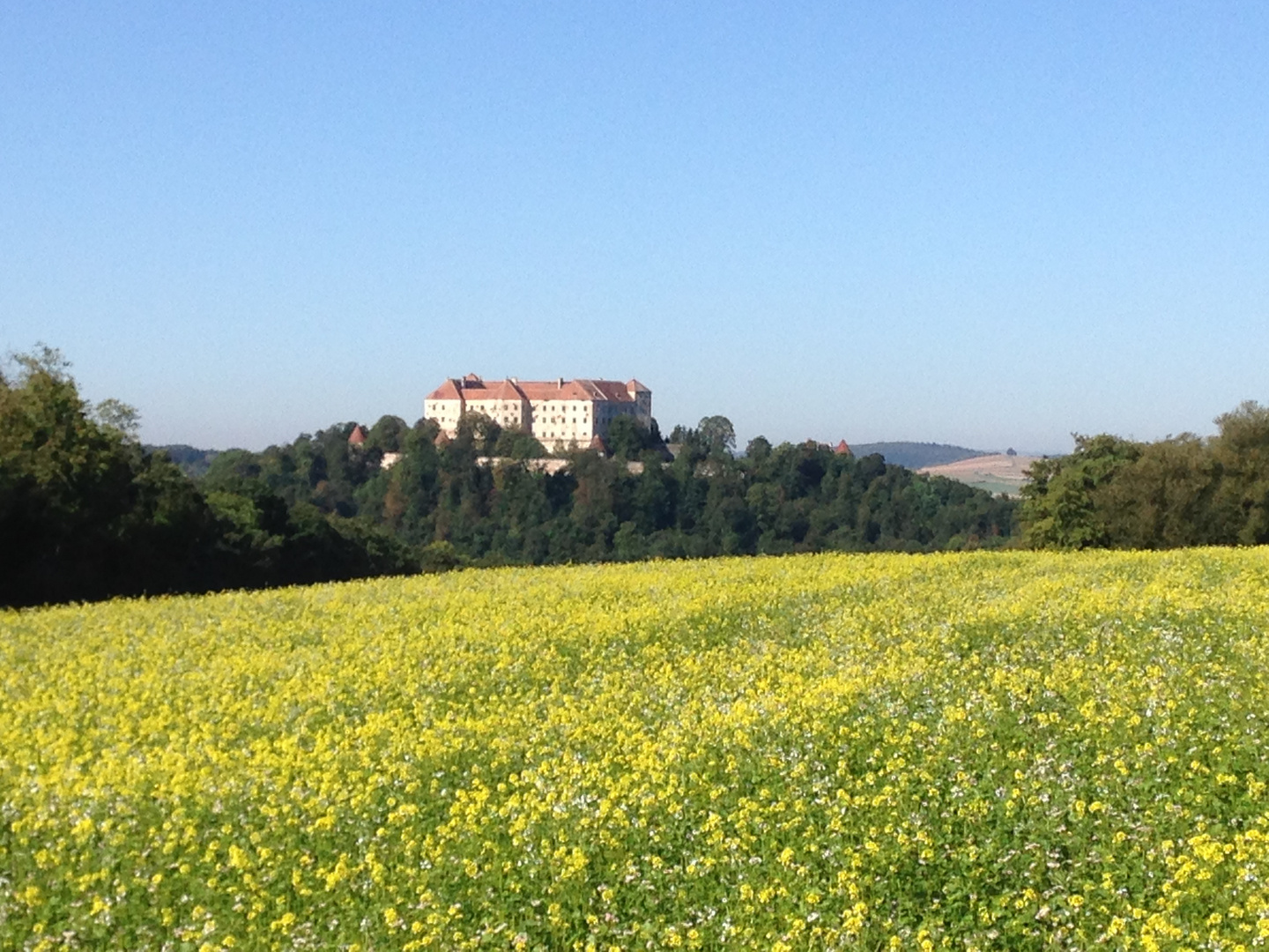 Burg Neulengbach im Herbst