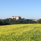 Burg Neulengbach im Herbst