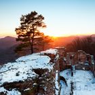 Burg Neuscharfeneck im Sonnenuntergang