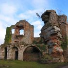 Burg Neuscharfeneck, Pfalz