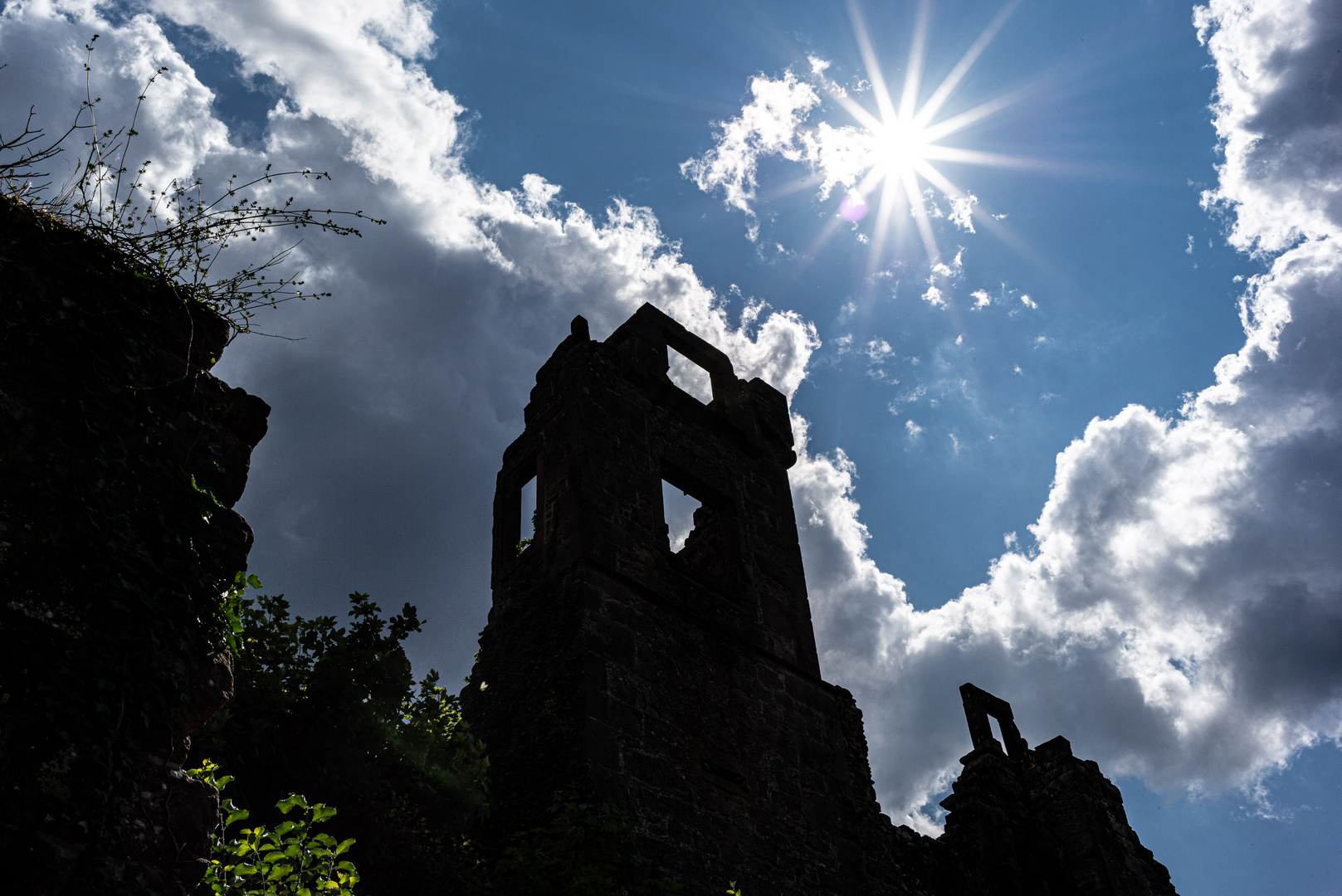 Burg Neuscharfeneck / Pfalz