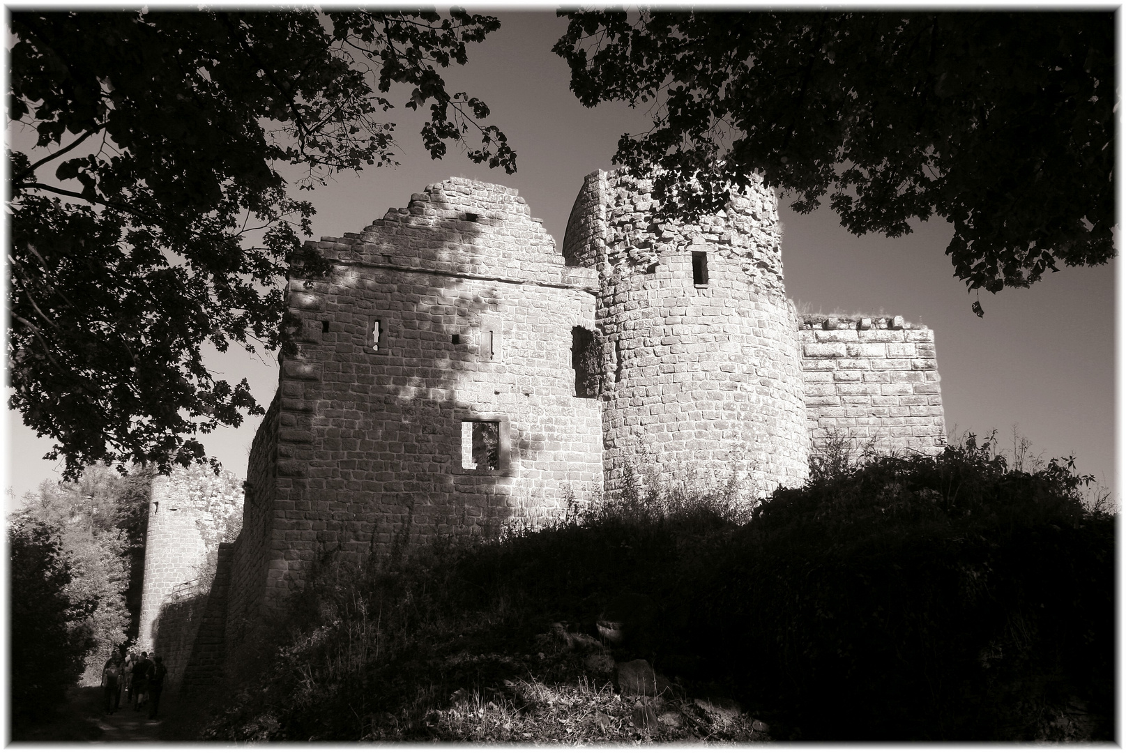 Burg Neuscharfeneck s/w