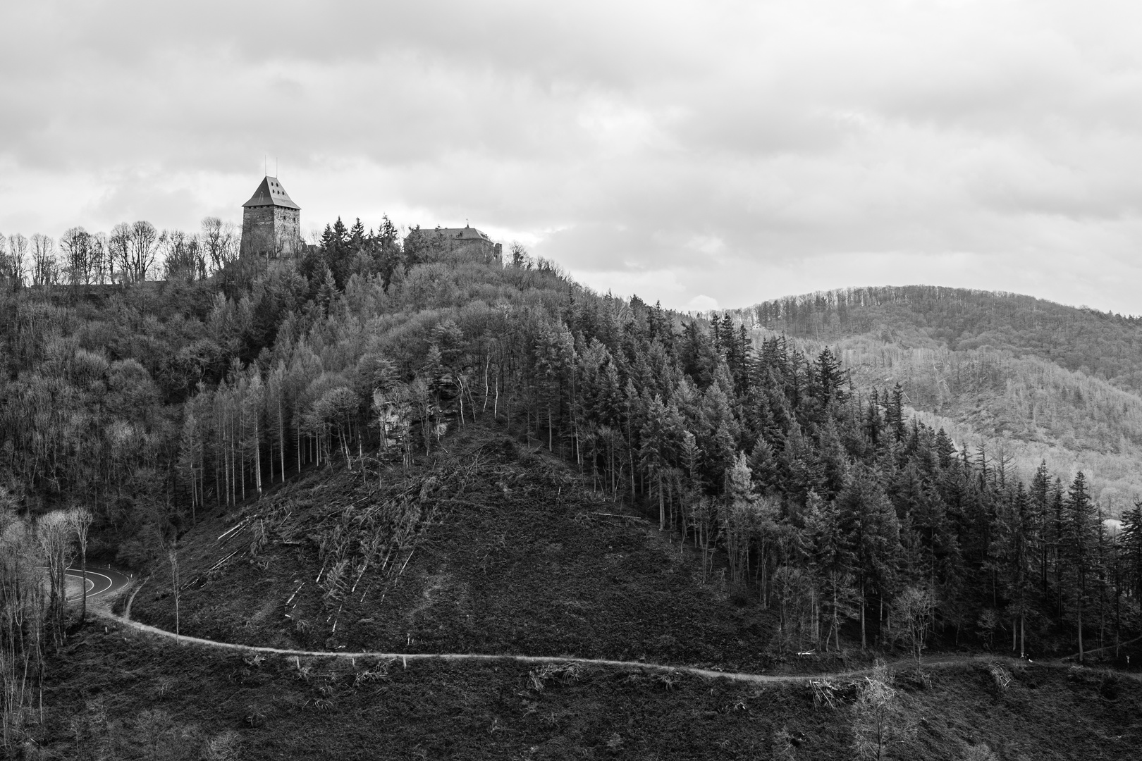 Burg Nideggen 2