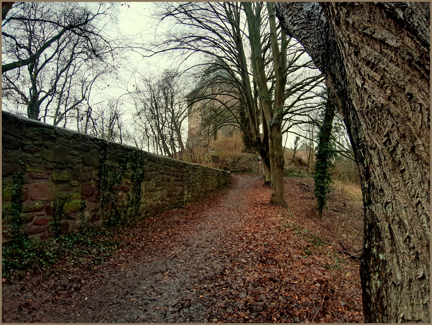 Burg Nideggen