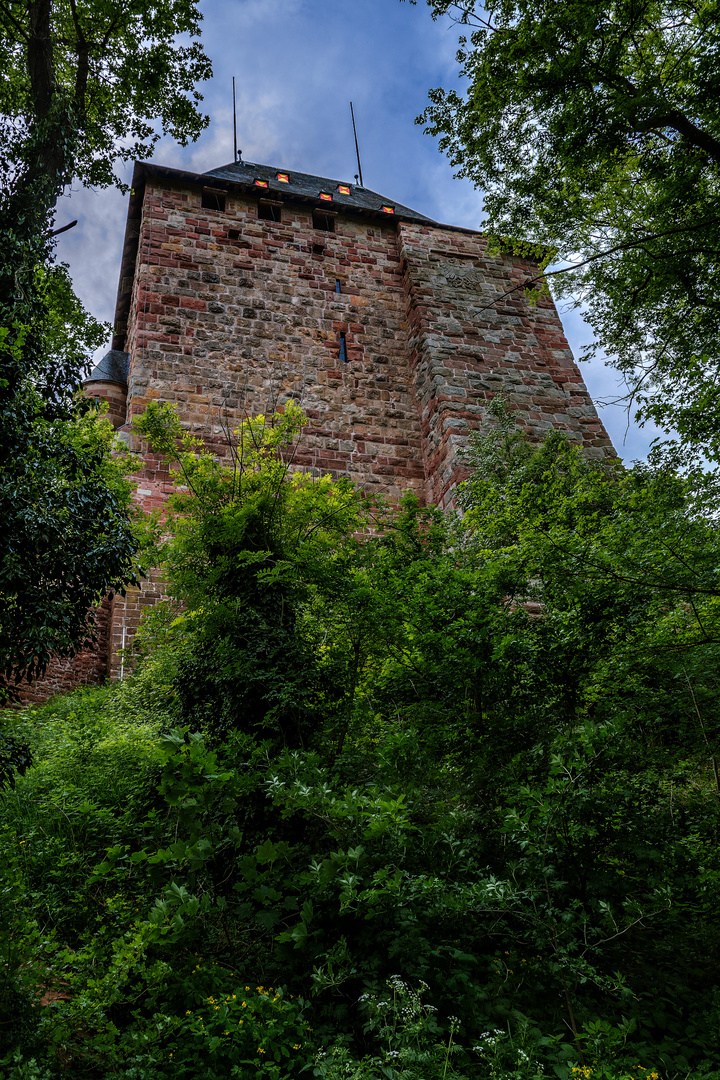 Burg Nideggen Eifel