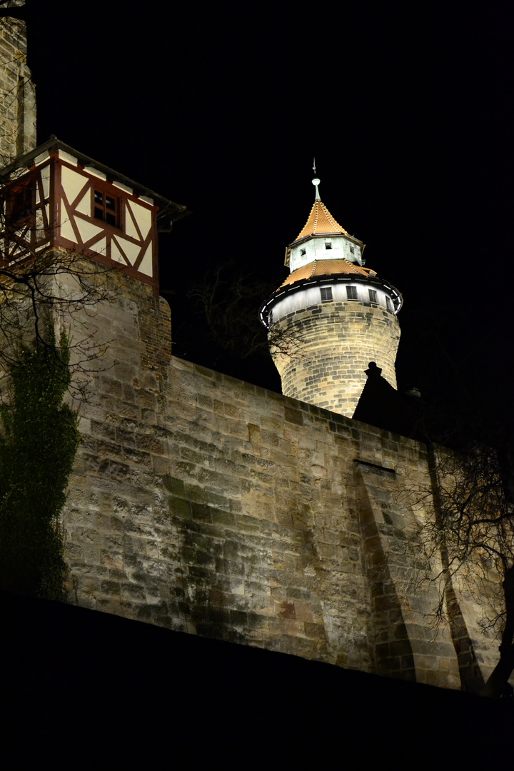 Burg Nürnberg 1