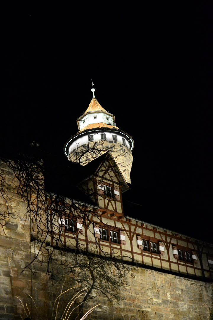 Burg Nürnberg 2