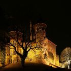 Burg Ockenfels und der Gruselbaum