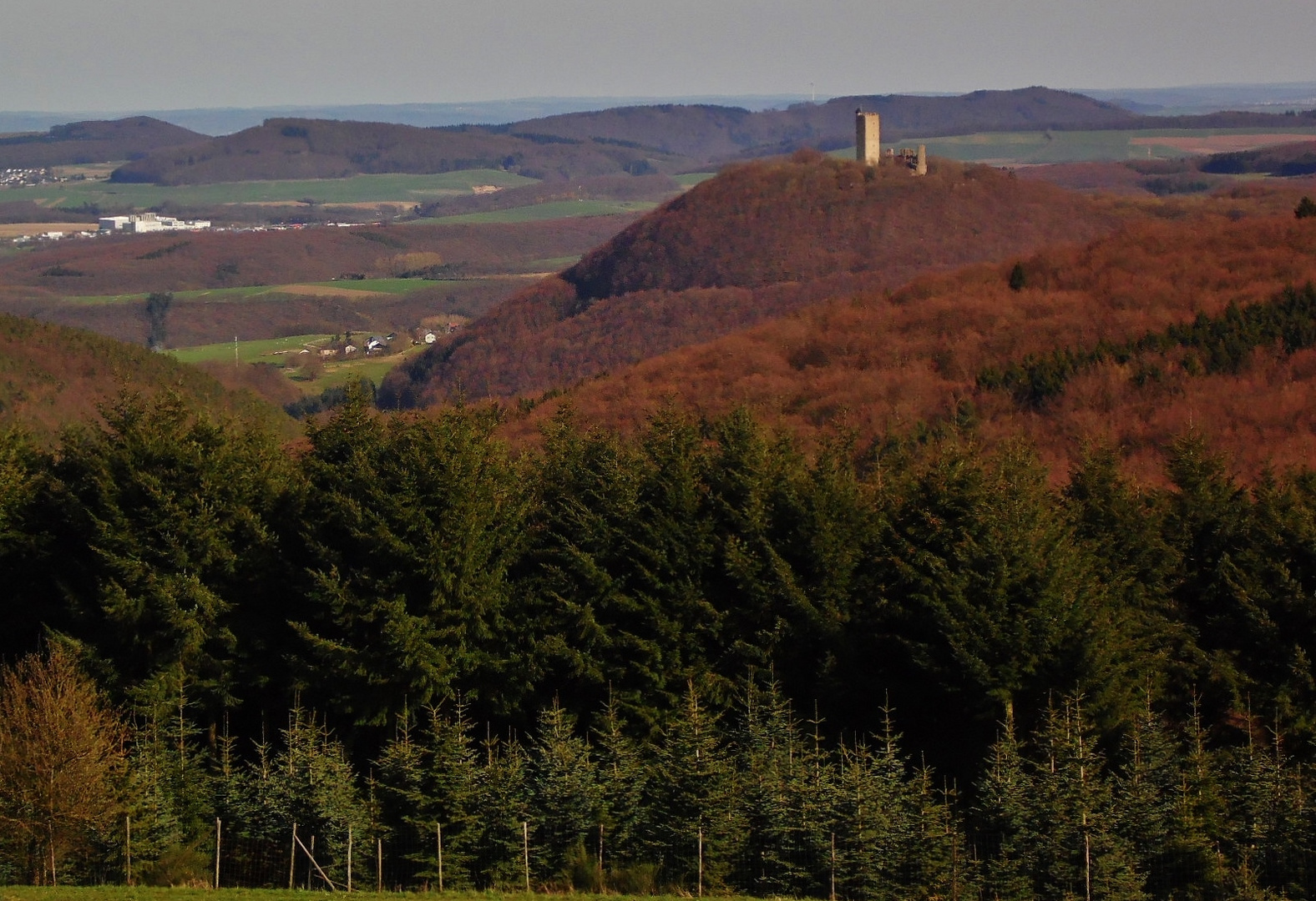 Burg Olbrück