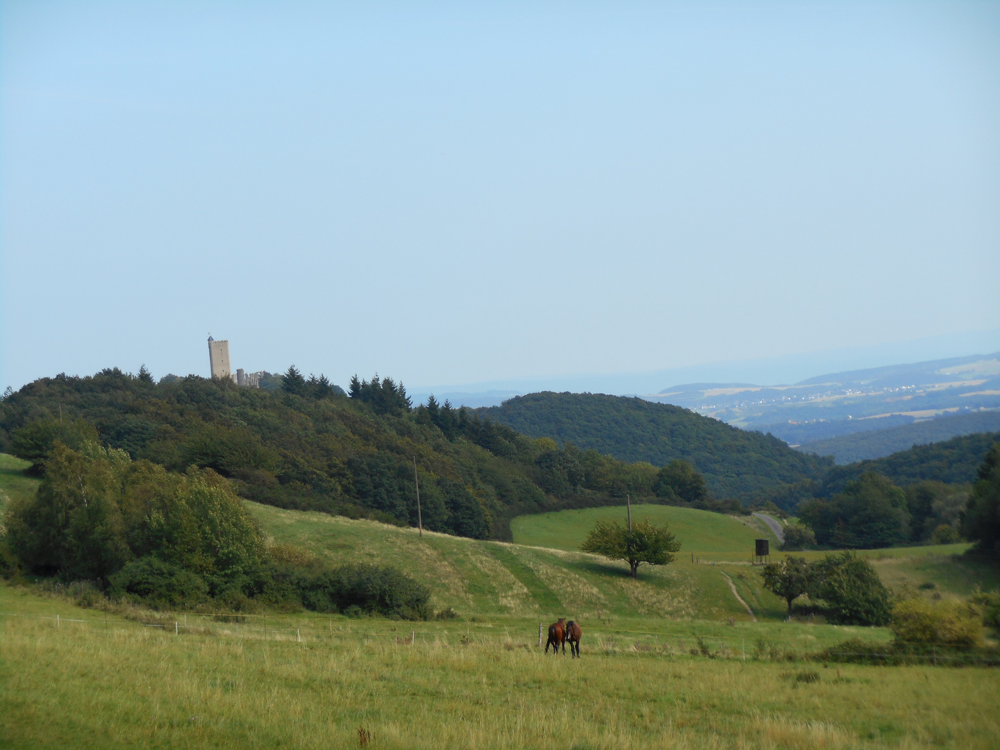 Burg Olbrück