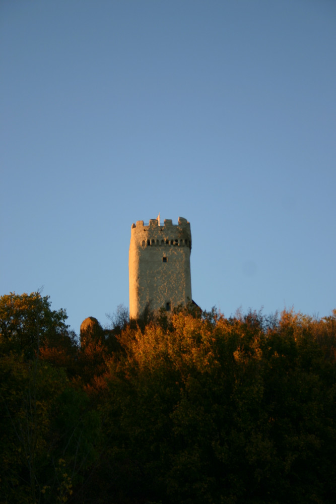 Burg Olbrück / Eifel