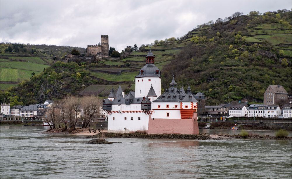 Burg Pfalzgrafenstein