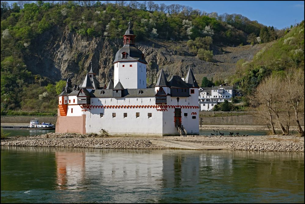 Burg Pfalzgrafenstein