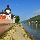 Burg Pfalzgrafenstein am Rhein