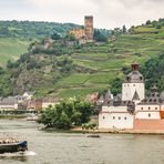 Burg Pfalzgrafenstein I - Kaub/Mittelrhein