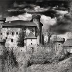 Burg Plankenstein...