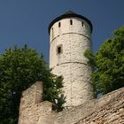 Burg Plesse, der nicht zugängliche Turm
