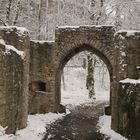 Burg Plesse im Winter #2