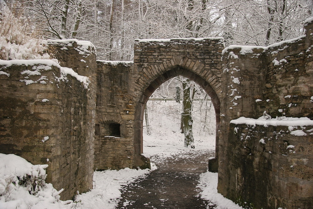 Burg Plesse im Winter #2